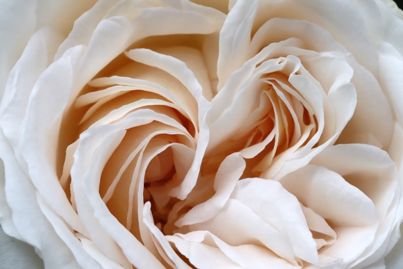 Ramo de novia y tocados