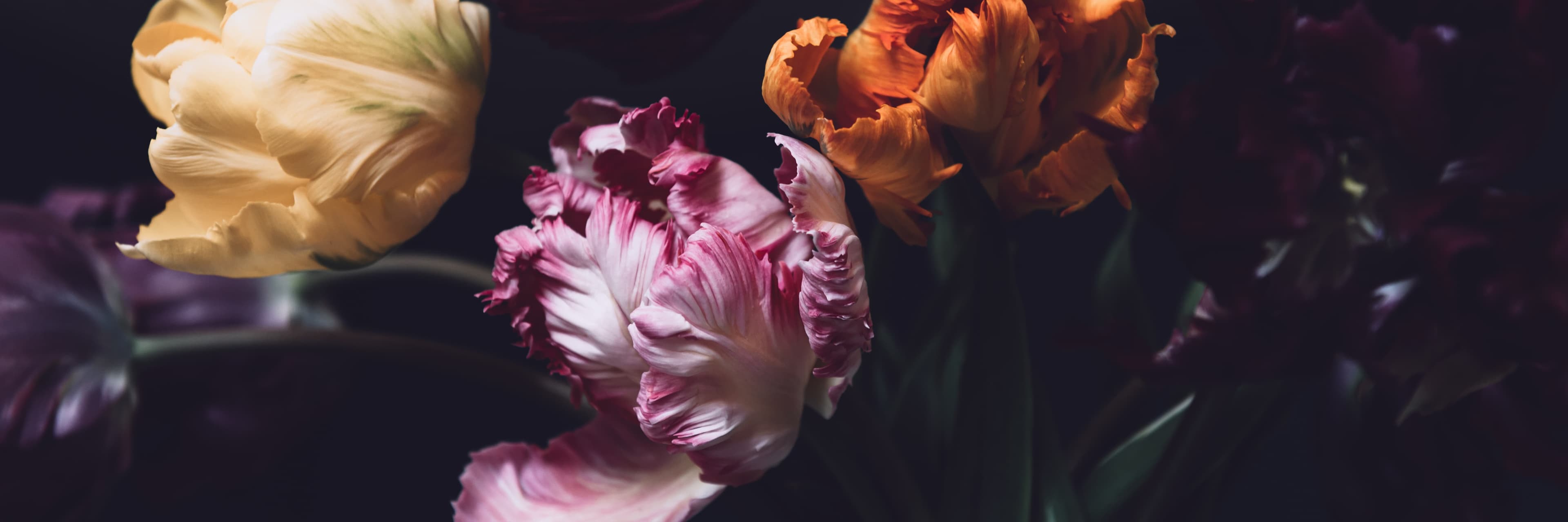 Selección personalizada